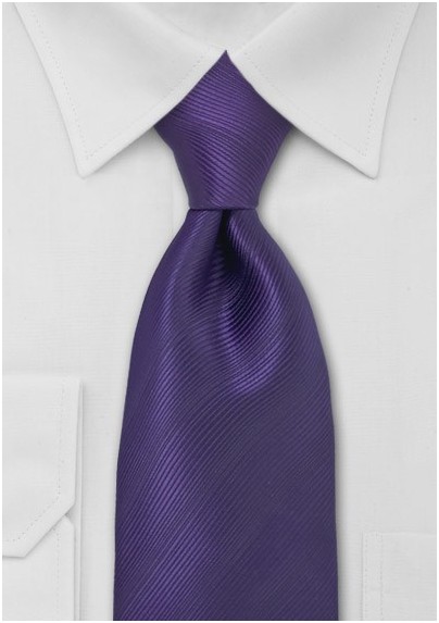 Bright Eggplant Purple Tie