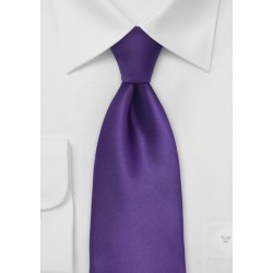 Solid Purple Tie in Extra Long Size
