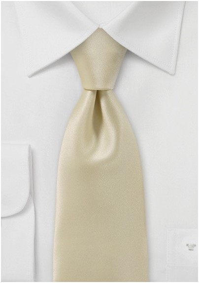 Solid Hued Tie in Champagne