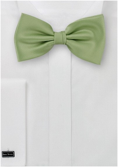 Light Clover Colored Bow Tie