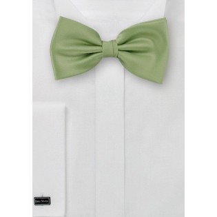 Light Clover Colored Bow Tie