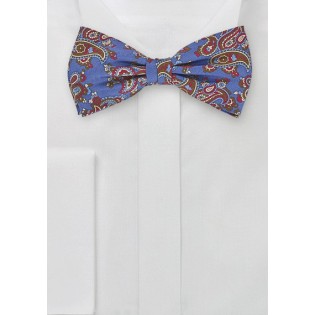 Paisley Patterned Bow Tie in Blues and Browns