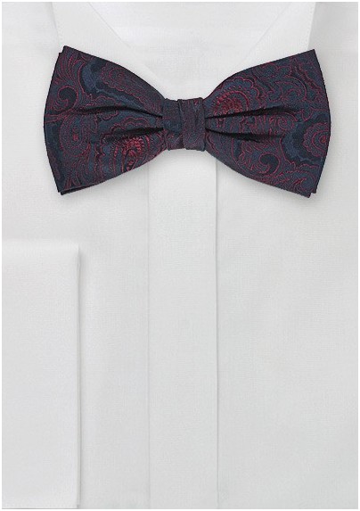 Silk Bow Tie in Paisley