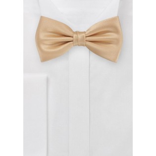 Bow Tie in Golden Fawn