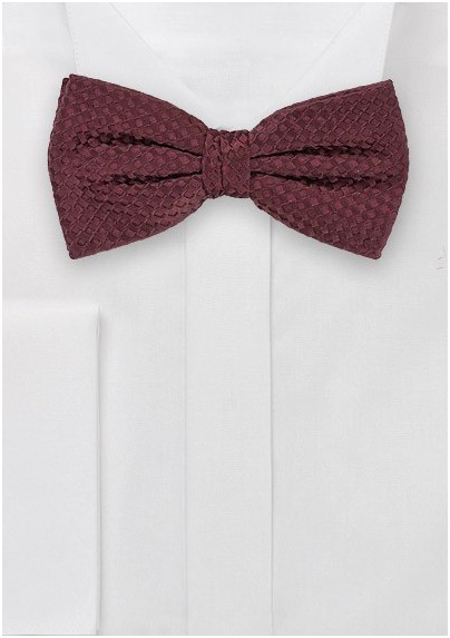 Elegant Bow Tie in Mahogany Brown