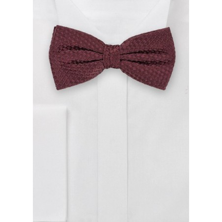 Elegant Bow Tie in Mahogany Brown