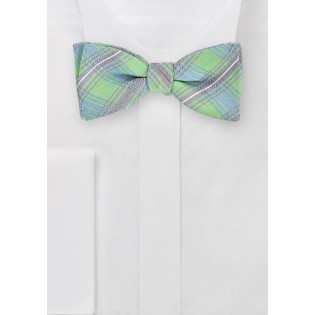 Artisan Plaid Bow Tie in Mint Green