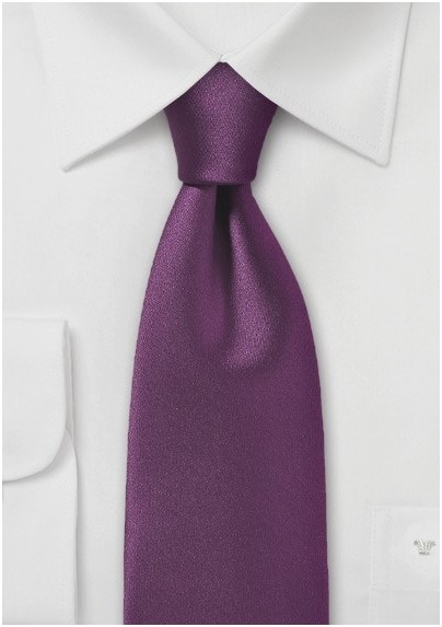 Solid Spiced Wine Tie Made from Pure Microfiber