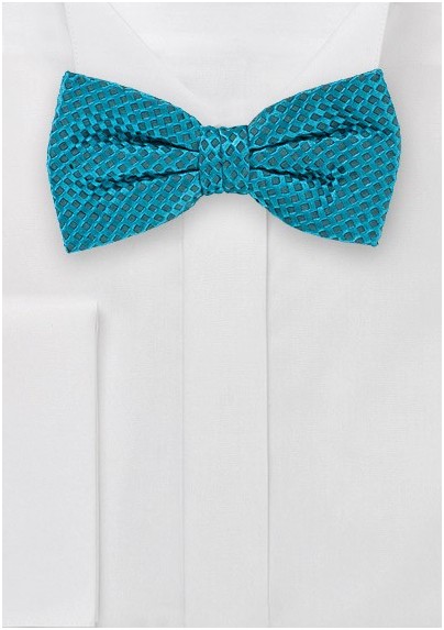 Festive Oasis Hued Bowtie with One of a Kind Weave
