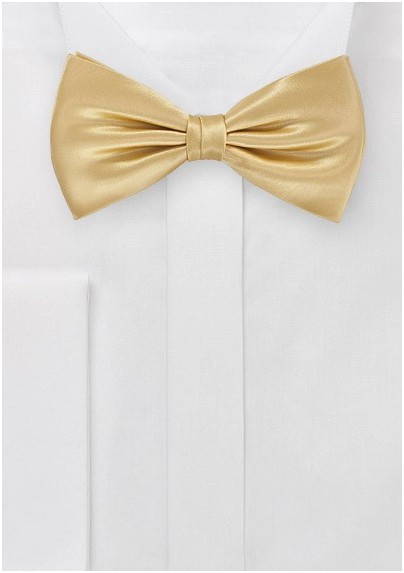 Vintage Gold Bow Tie