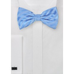 Light Blue Striped Men's Bow Tie