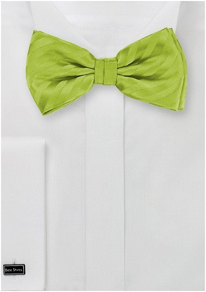 Apple Green Striped Bow Tie