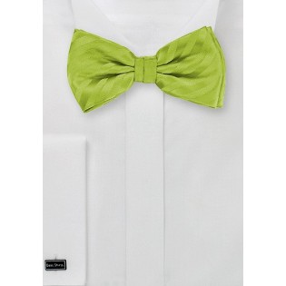 Apple Green Striped Bow Tie