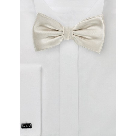 Golden Champagne Colored Bow Tie