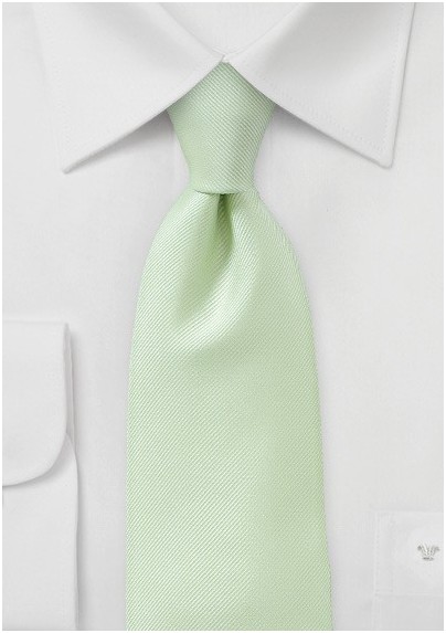 Extra Long Tie in Light Green