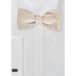 Light Cream Colored Paisley Bow Tie (self tie)