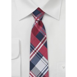 Cotton Plaid Skinny Tie in Blue and Red