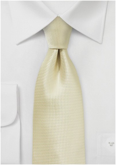 Festive Champagne Colored Necktie