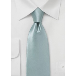 Elegant Silver Silk Tie for Men