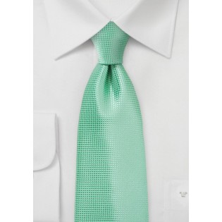 Winter Mint Color Tie in XL Length