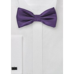 Majesty Purple Bow Tie
