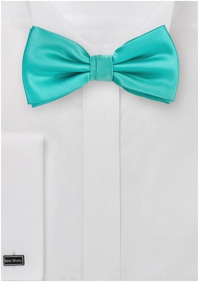Bow Tie in Bright Mint