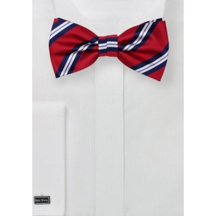 Repp Stripe Bow Tie in Red and Blue