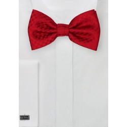 Solid Gingham Check Bow Tie in Red