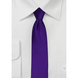 Skinny Tie in Regency Purple