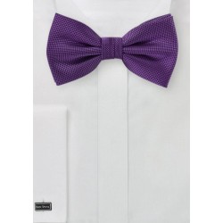 Microcheck Bow Tie in Violet