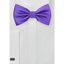 Solid Bow Tie in Freesia Purple