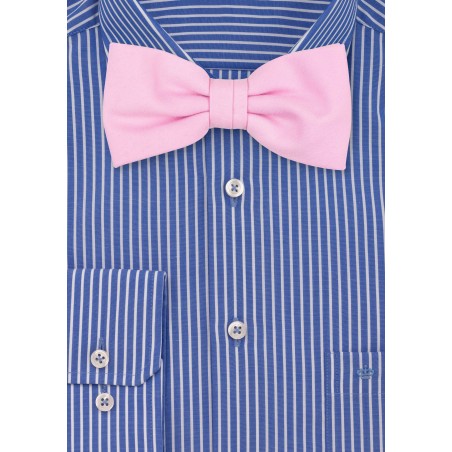 Tickled Pink Bow Tie