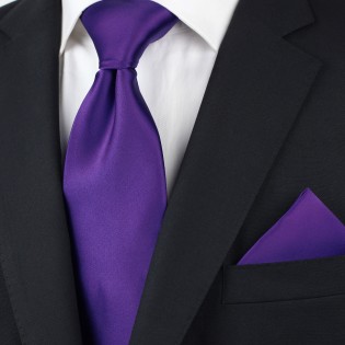 Regency Purple Tie in Extra Long Styled