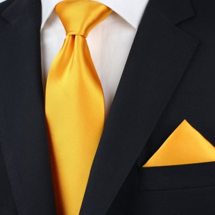 Men's Tie in Golden Saffron Styled