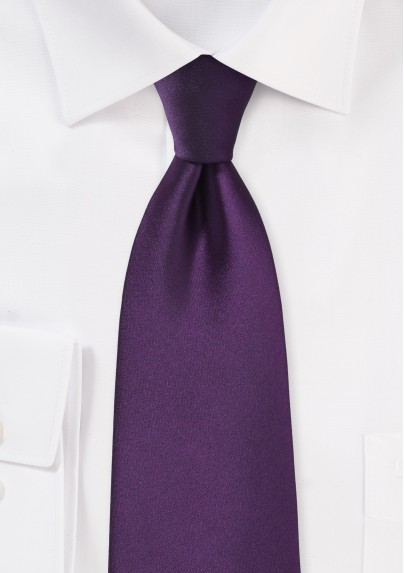 Solid Eggplant Purple Tie in XL