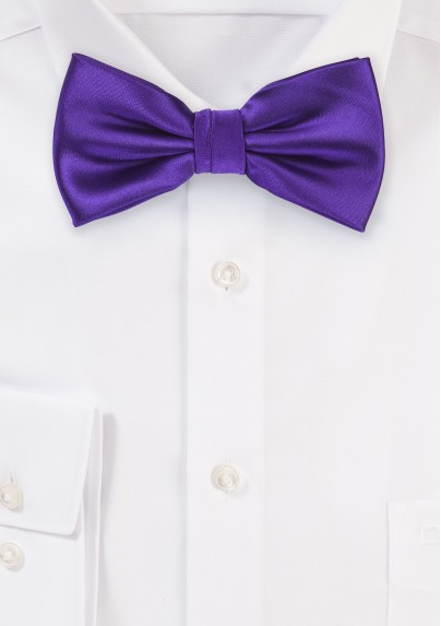Regency Purple Mens Bow tie