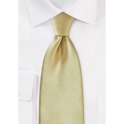 Formal Golden Tan Tie