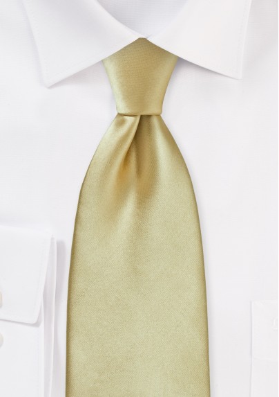 Formal Golden Tan Tie