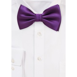 Bright Purple Bow Tie in Solid Color