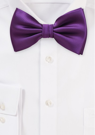 Bright Purple Bow Tie in Solid Color