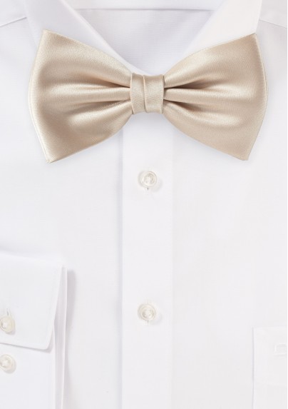 Bow Tie in Golden Champagne