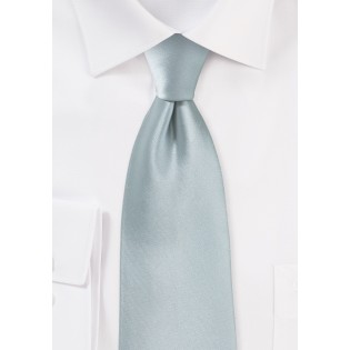 Dove Gray Color Tie