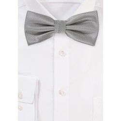 Suit and Tux Bow Tie in Sterling