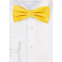 Formal Bow Tie in Daffodil