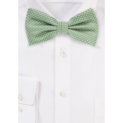 Sage Green Colored Bow Tie