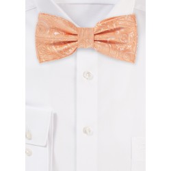 Peach Mens Bow Tie with Paisley Design