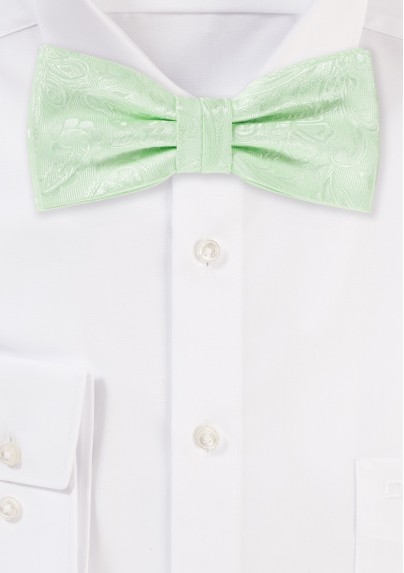 Pastel Green Paisley Bow Tie