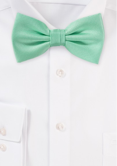 Summer Bow Tie in Mint