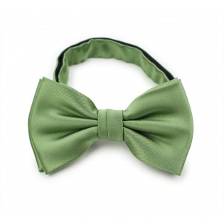 Sage Colored Bow Tie