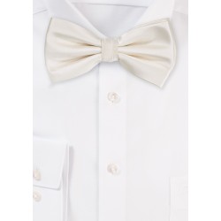 Champagne Color Bow Tie for Men